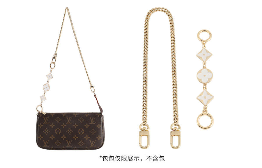 Luxury Care Artisan Workshop Metal Bag Straps Women's Gold tone