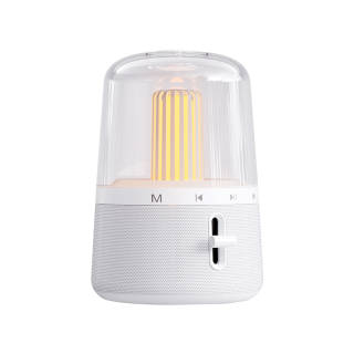 MCHOSE Wireless Speakers