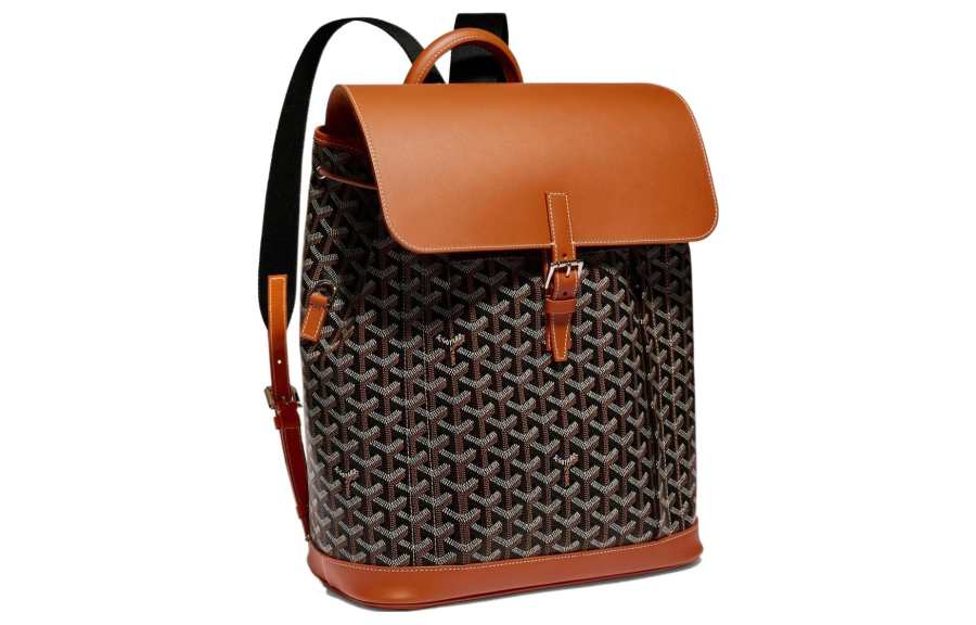 GOYARD Alpin Canvas With Leather Backpack Medium Unisex Brown