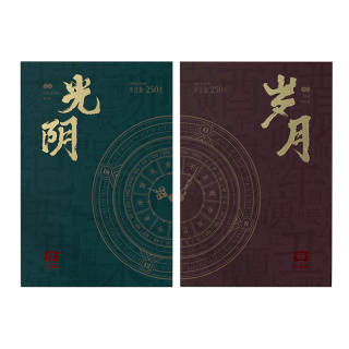 DAYI Light Time Pu Erh Tea Combination 250 G * 2 Bricks