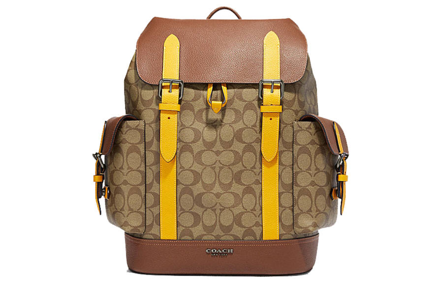 COACH Hudson With Cow Leather And PVC Backpack Unisex Brown