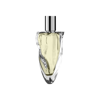 WOOD JO+ Melting Ice White Cedar Perfumes Woody Tones Eau De Parfum EDP Vetiver Musk 50ml