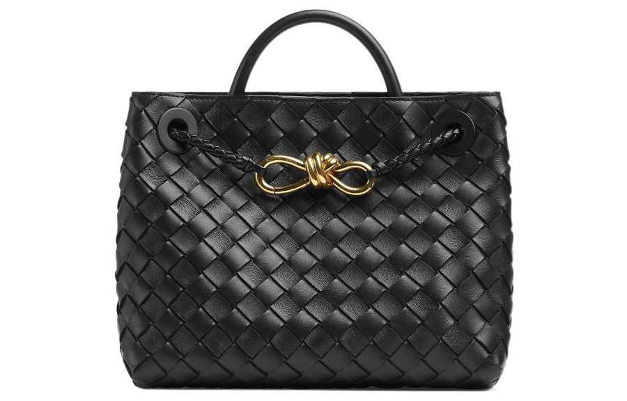 Bottega Veneta Small Andiamo Black