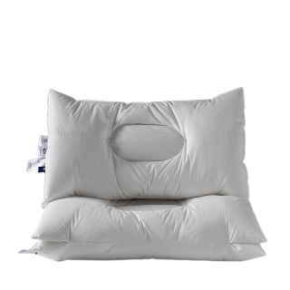 SASSENSI Functional Pillows