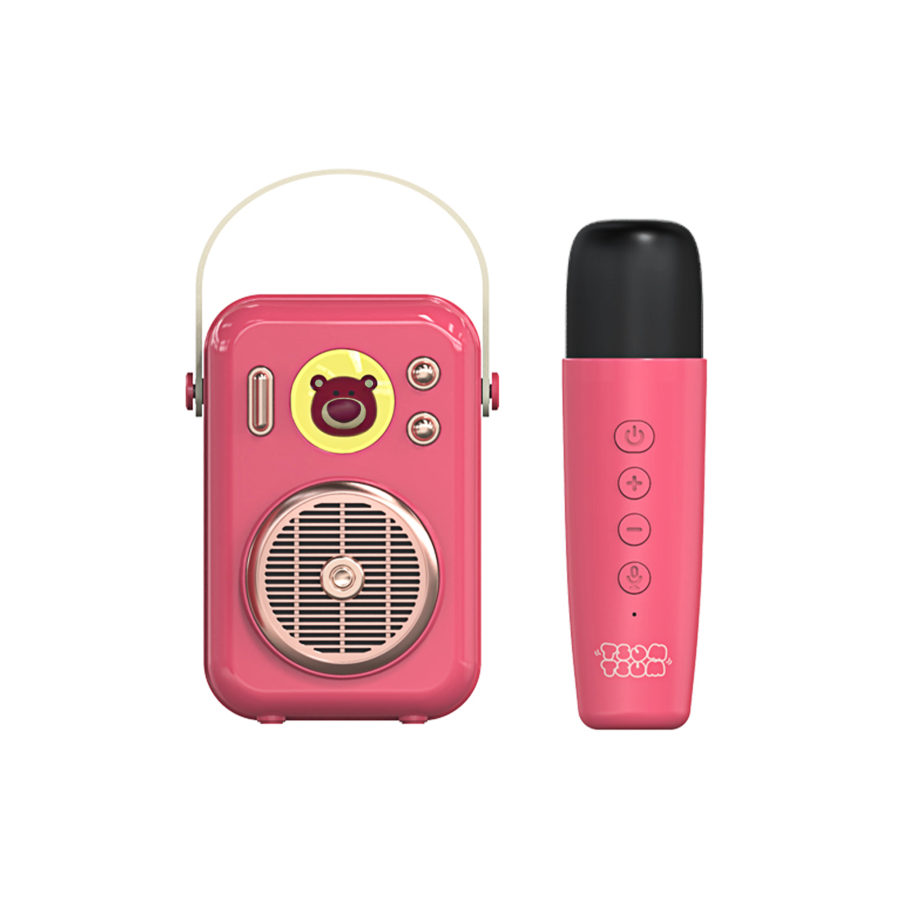 Disney Outdoor & PA Speakers