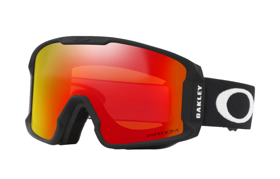 Oakley Oakley Prizm Torch ski goggles