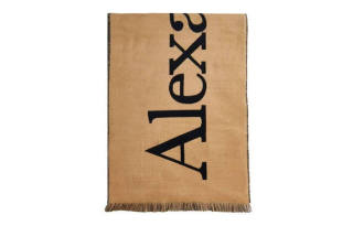 Alexander McQueen Duo Tone Logo Embroidered Scarf