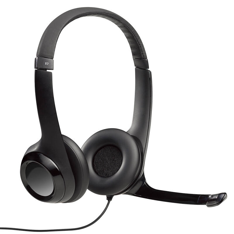 Logitech Logitech Wired Headphones