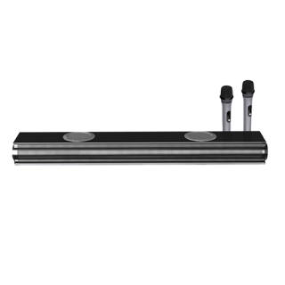 Newmine Speakers & Audio Systems AK600pro Echo Wall, Home Theater K Car, Living Room, TV, Subwoofer