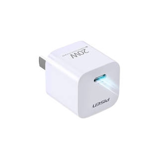 PISEN Chargers