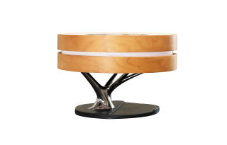 MGWK Wireless Speakers