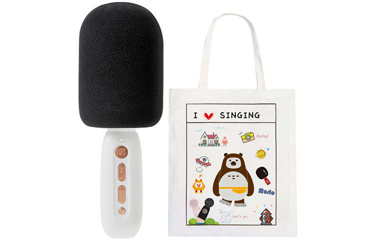 Sing Sing C10 Microphone Integrated Sound System, Wireless Bluetooth Outdoor Speakers Microphone