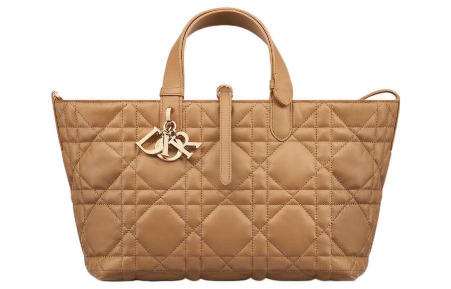 DIOR Toujours Cow Leather Native Handbag Medium Women's Bronze