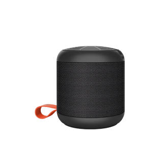 RECCI Wireless Speakers