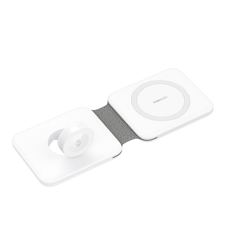 RECCI Chargers