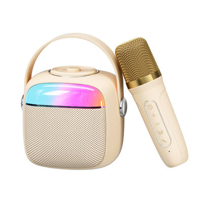 HAVIT Wireless Speakers