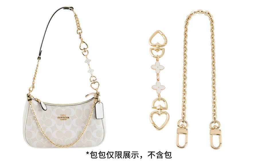 Luxury Care Artisan Workshop Metal Bag Straps Women's Gold tone