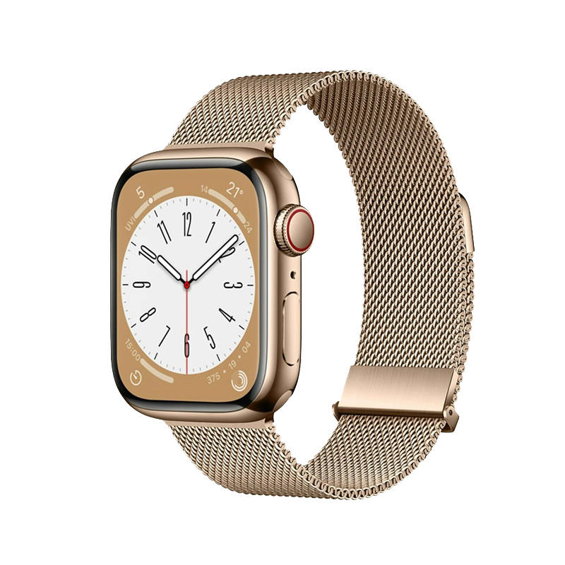Biaodaige Strap Apple Compatibility Stainless Steel Material