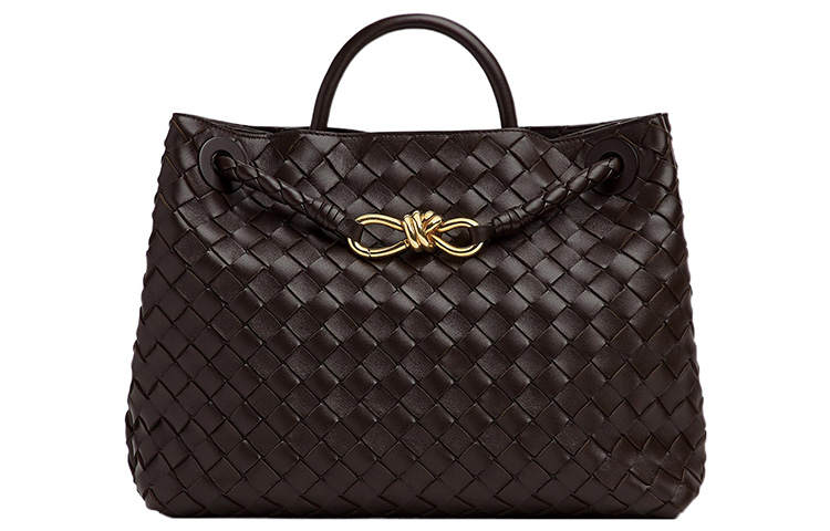 Bottega Veneta Andiamo Medium Shoulder Bag