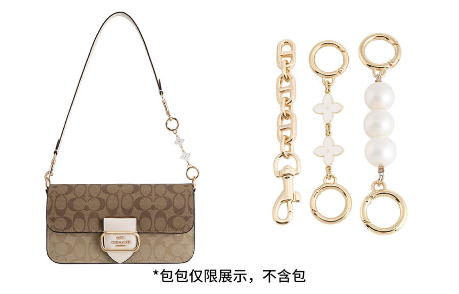 Luxury Care Artisan Workshop Metal Bag Straps Women's Gold tone