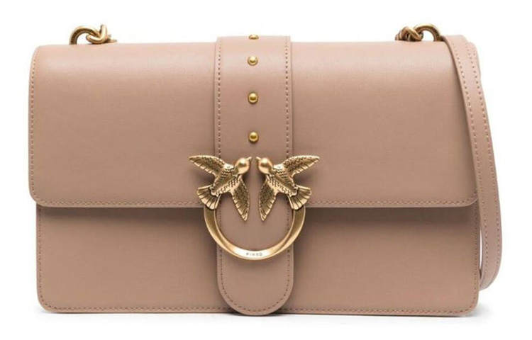 PINKO Calfskin Crossbody Bag, Shoulder Bag Women's Brown