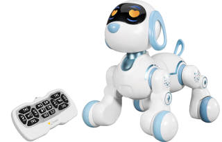 BIG TAYLOR Pet Machine Made Dog Smart Toys