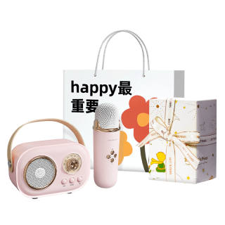 CHIELYUAL D22 Speaker, Microphone All in One PC Portable Bluetooth