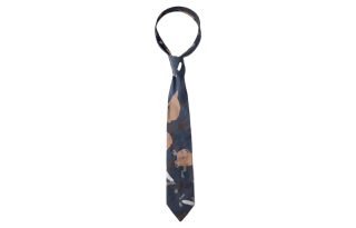 Brunello Cucinelli Ties Women's Blue
