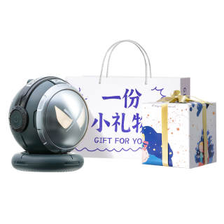 CHIELYUAL Speakers Compact And Portable Bluetooth Connection