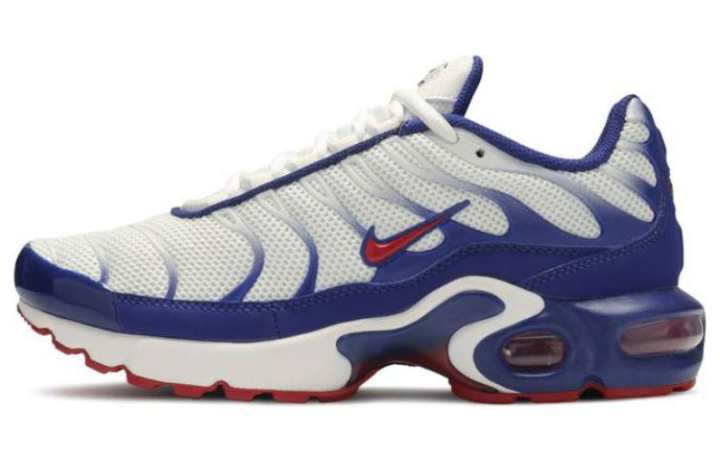 Nike Nike Air Max Plus 'USA' Gs