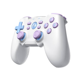 BETOP Gamepads