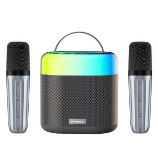 HYUNDAI All in One Microphone With Speaker HY S14