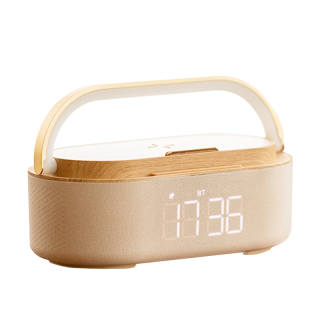 CHIELYUAL Wireless Speakers