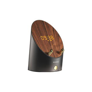 KAWOO Wireless Speakers
