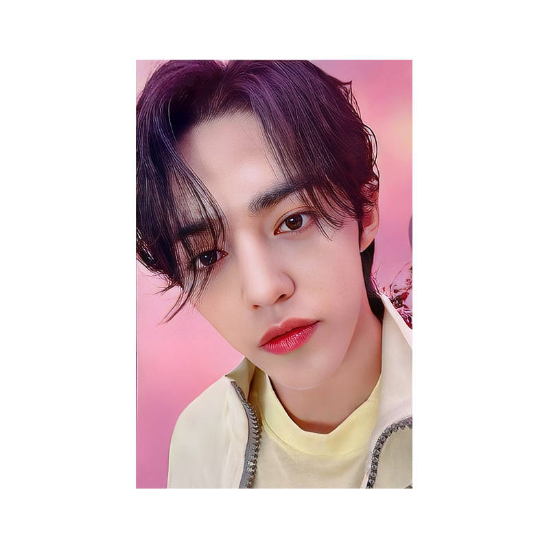 HYBE SEVENTEEN ALWAYS YOURS First Edition Limited A Disc Photocards Single Card/One Click Full Set Purchase