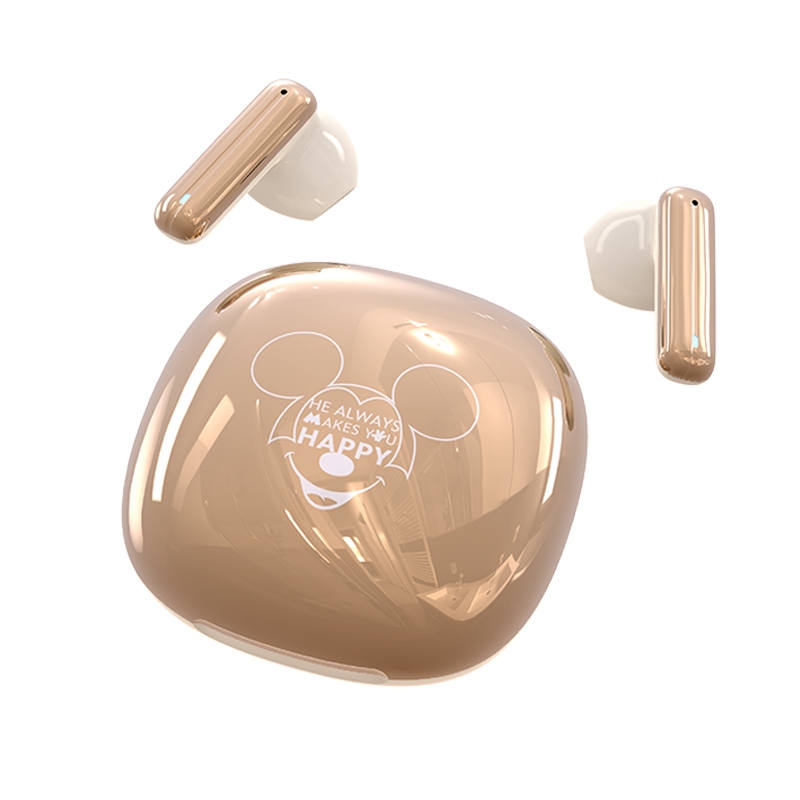 Disney DN18 Sports Gaming Esports HIFI Sound Quality, Ultra Low Latency In ear Passive Noise Cancellation Headphones