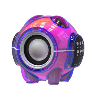 CHIELYUAL Wireless Speakers