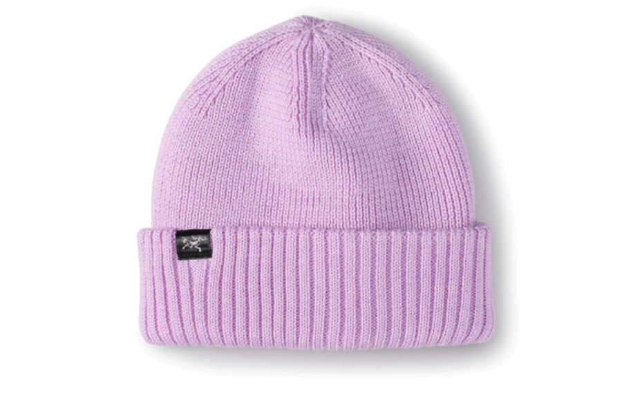 Arcteryx Arc'teryx Recycled Polyester, High Technology Wool Beanies Unisex Purple