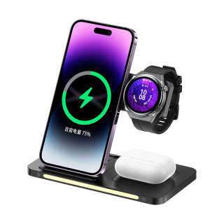 REMAX Chargers