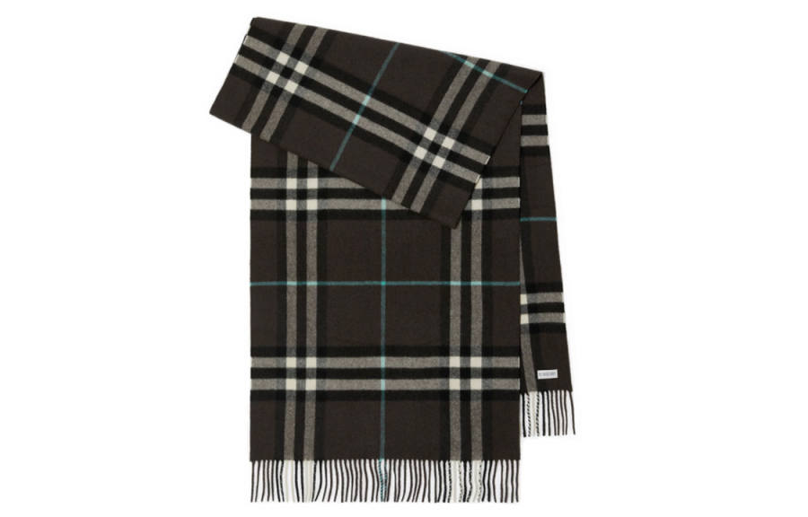 Burberry Burberry Checked Fringed Edge Scarf