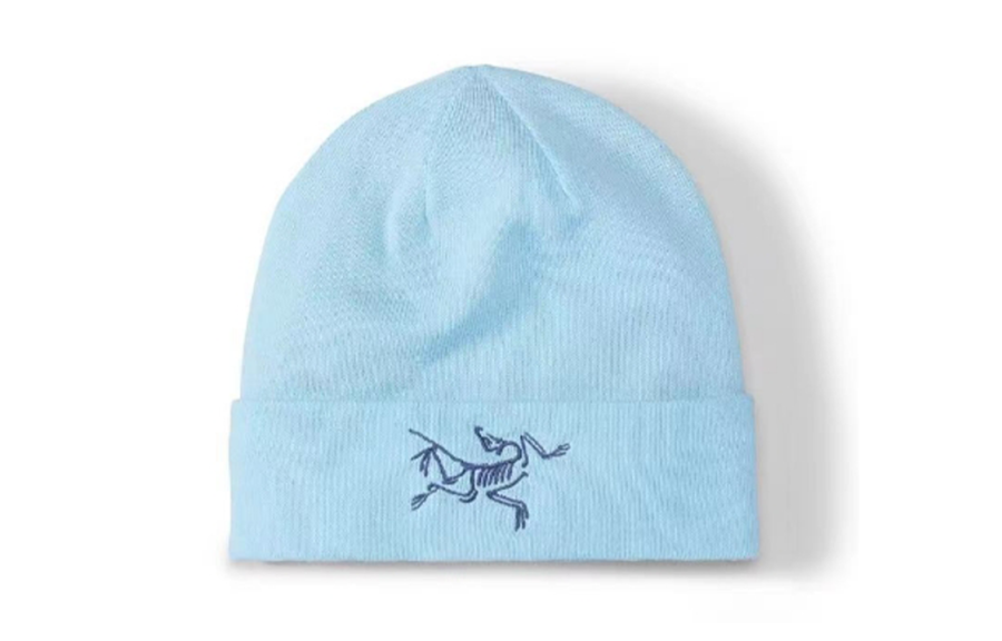 Arcteryx Arcteryx Beanies Unisex