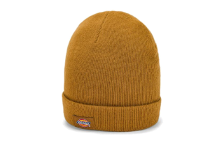 Dickies Beanies Unisex