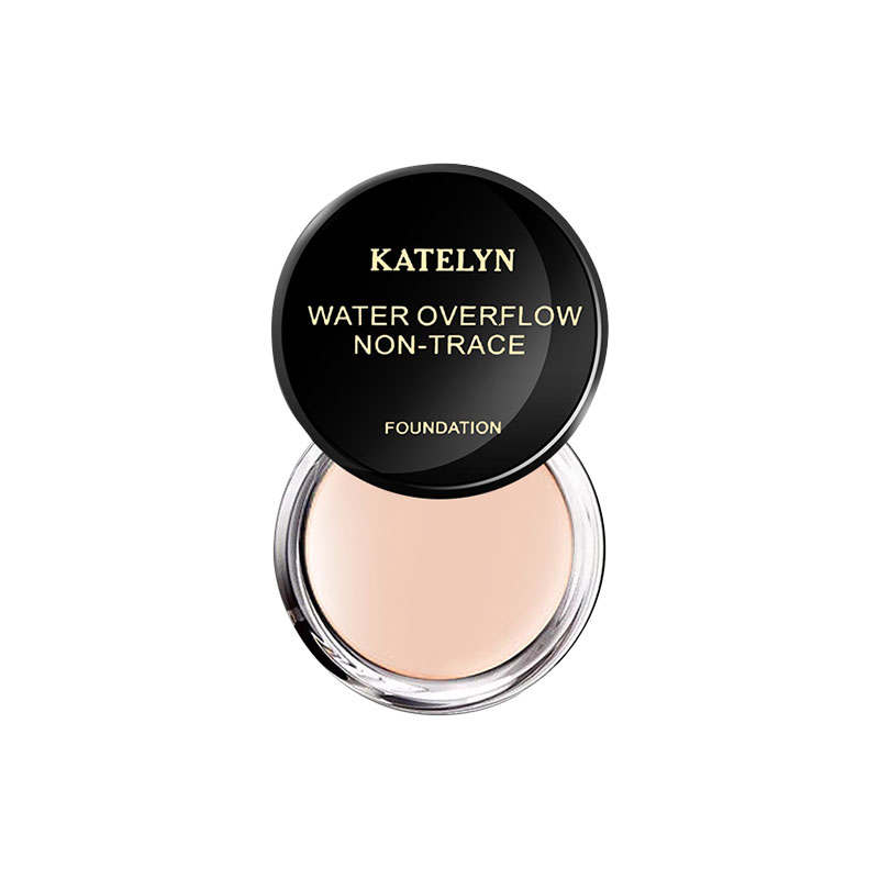 KATELYN Seamless Aquatic Foundation Cream Natural Flawless Refining Concealing 18g