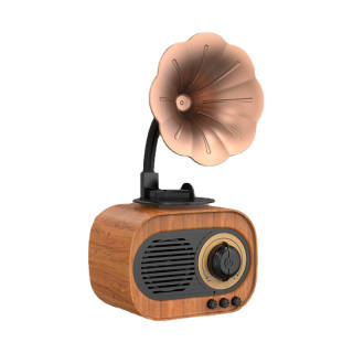 XINGYOUZHE Wireless Speakers