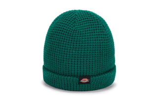 Dickies Acrylic Beanies Unisex Green/Black/Beige/Purple