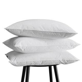 SASSENSI Synthetic Fiber Pillows