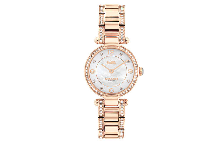 COACH CARY Wrist Watches Quartz Movement Steel Strap 26mm Mother of Pearl Color Watch Dial Women's Watch
