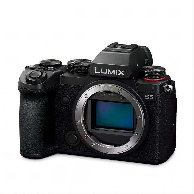 Panasonic Panasonic Mirrorless Cameras
