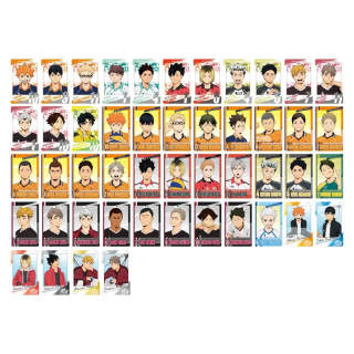 ENSKY Haikyuu!! Characters Polaroid Photo Card Character Card Vol.3 IP / Anime Cards