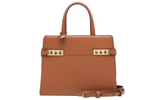 Delvaux Delvau Tempête Grain Calfskin Shoulder Bag, Crossbody Bag, Handbag Small Women's Tawny